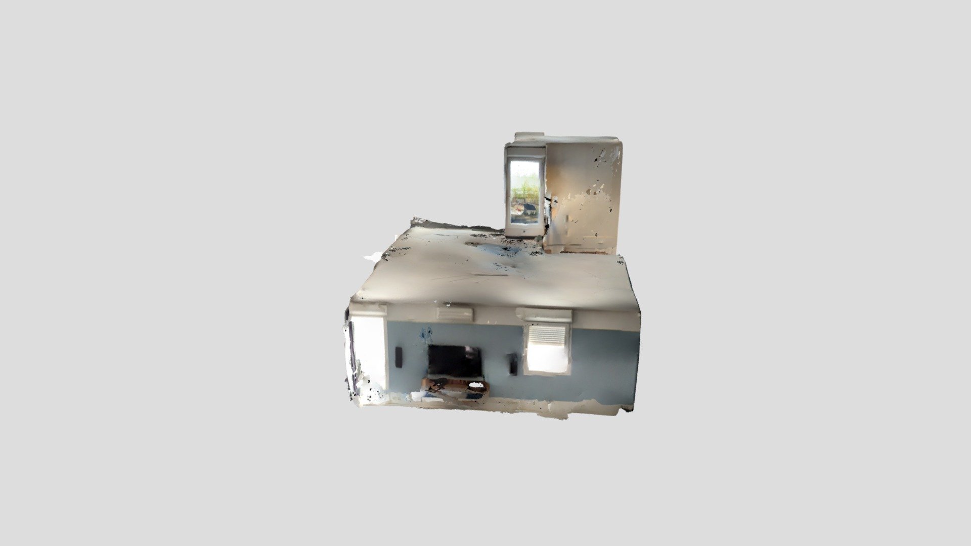 Terrier 1