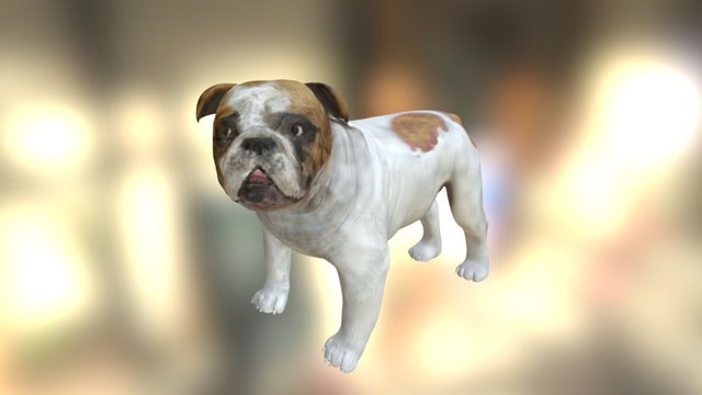Bulldog 3D Model