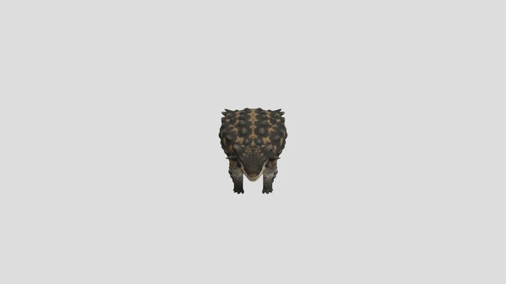 Accurate ankylosaurus rigged 3D Model