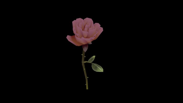 Rose 3D models - Sketchfab