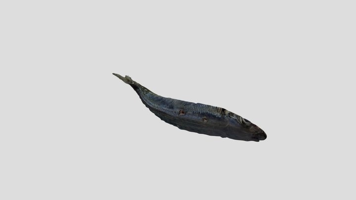 New Qlone