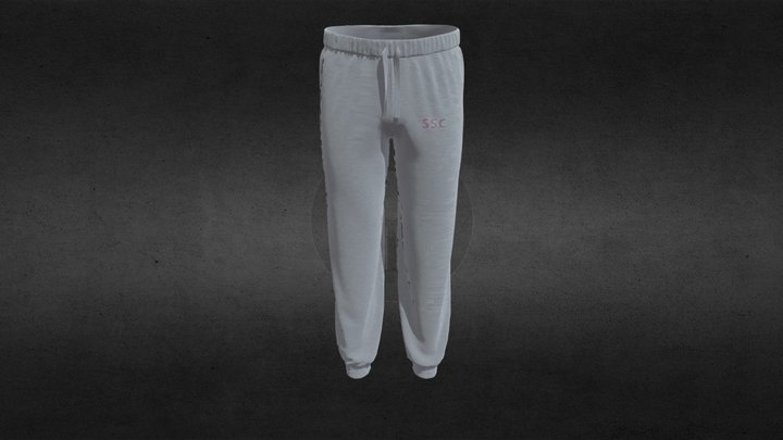 the-pants 3D Model