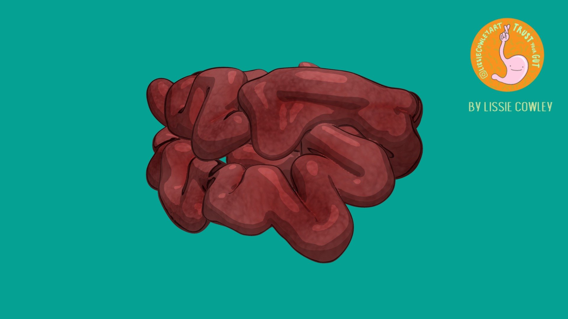 Small Intestine