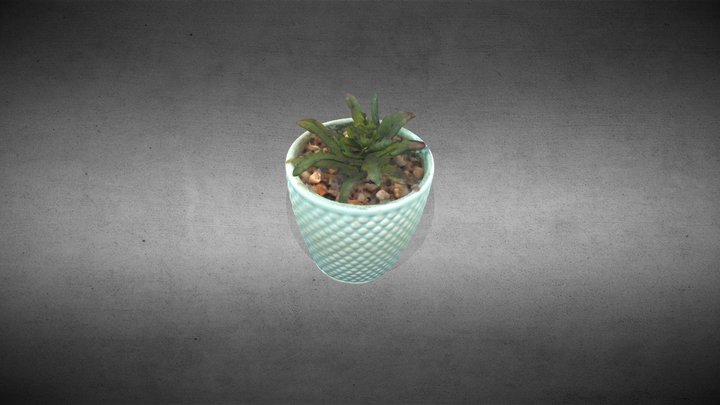 Small Potplant 3D Model