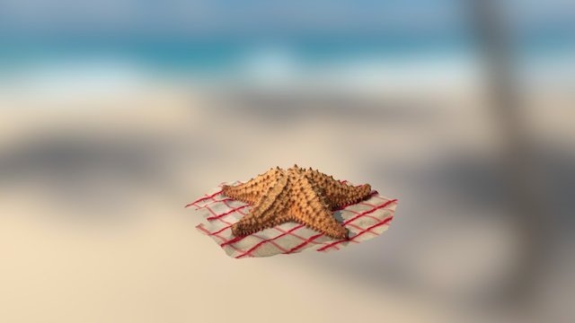 Starfish 3D Model