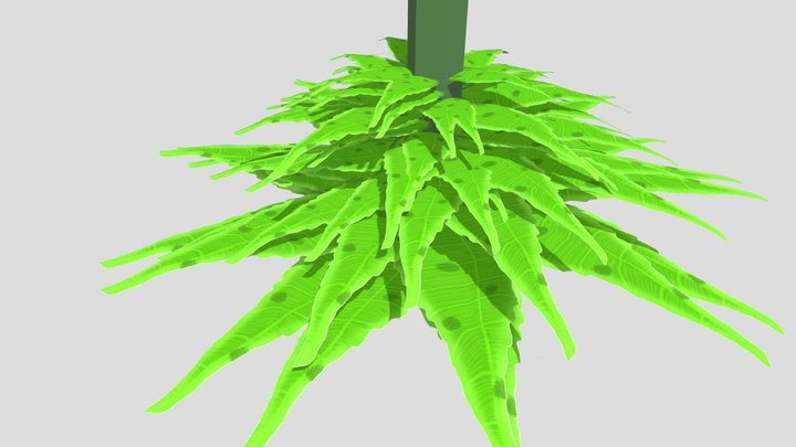 Leaf Bush Class V1 3D Model