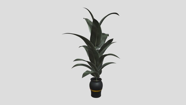 Plant 3D Model