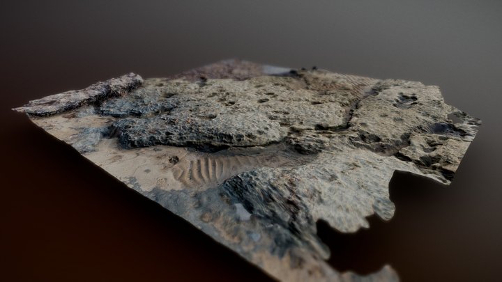 "Ground 2" 3D Model