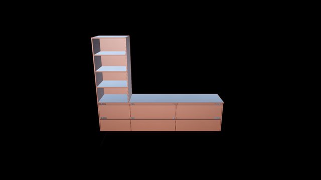 MS_WIR 3D Model