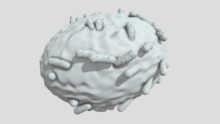 Monkeypox Virus viruela mono smallpox 3D Model
