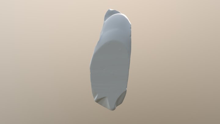 overlay 47 3D Model