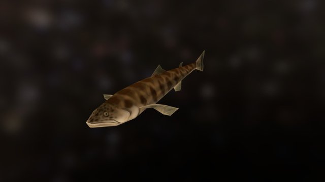 Stylized California Lizardfish 3D Model