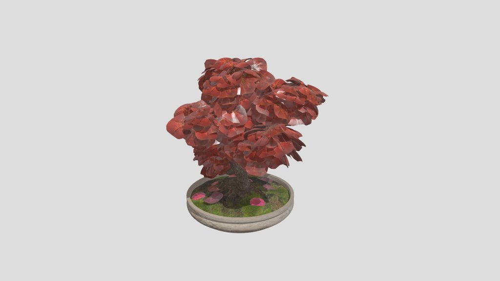 Japanese Bonsai