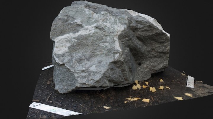 Poor Mountain Formation 3D Model