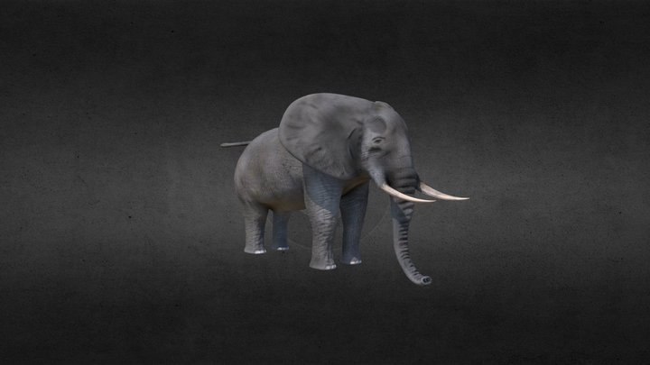Elephant 3D Model