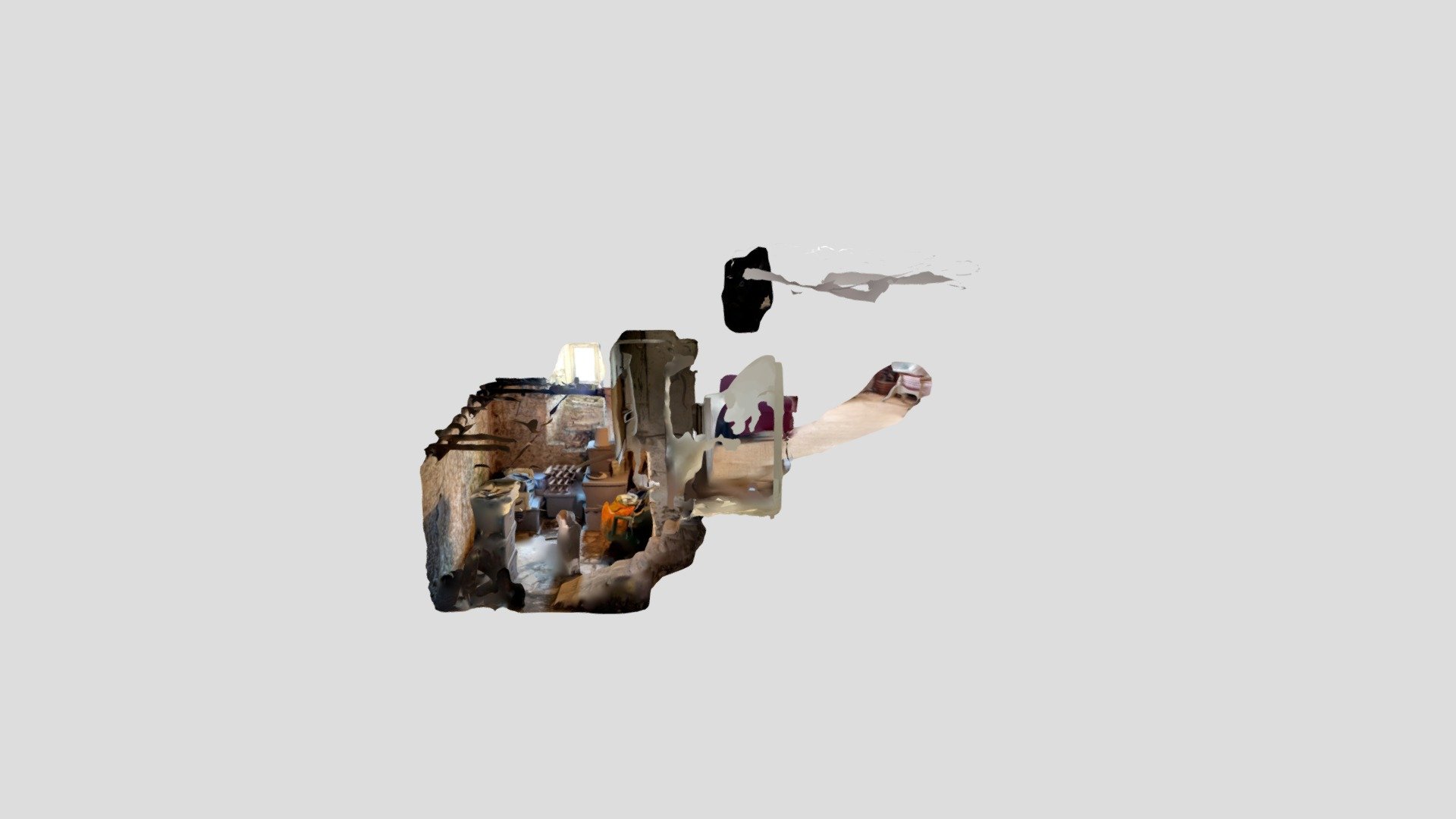 Polycam capture
