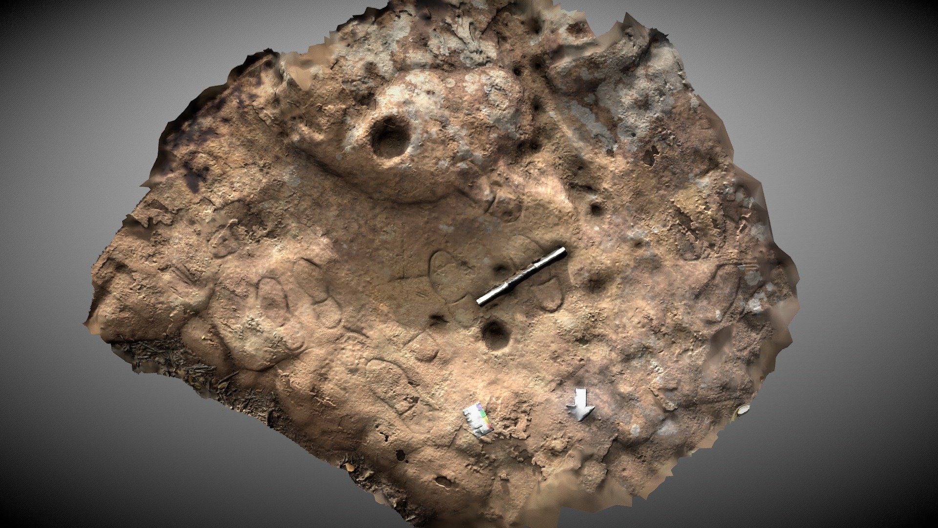 Algarve - New Find - Footprint Rock - Download Free 3D model by Nick ...