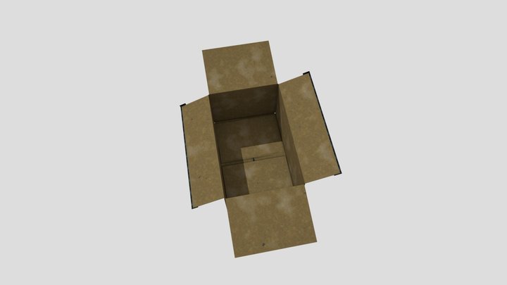 CardBoard 3D Model