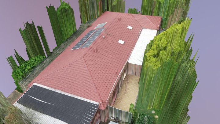 Domestic Roof Inspection 3D Model