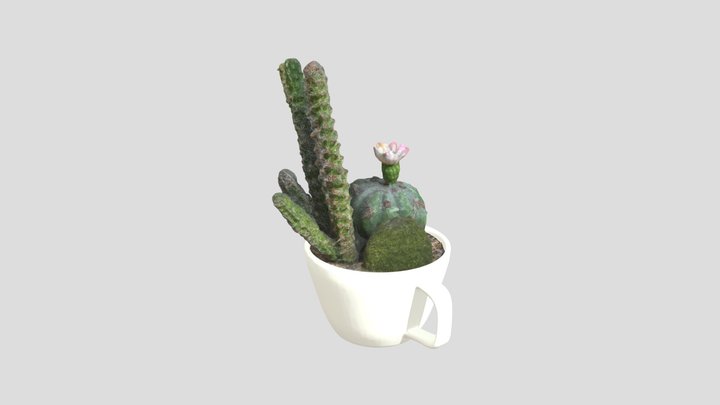 Artificial flower cactus 3D Model