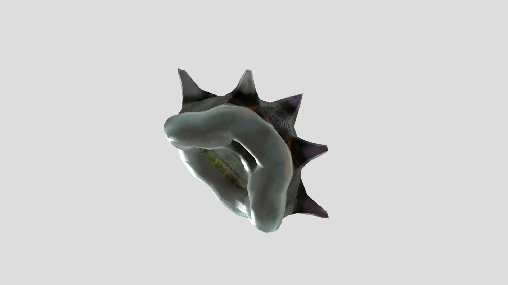 Shell - 3D model by amy301777 [6cb7725] - Sketchfab