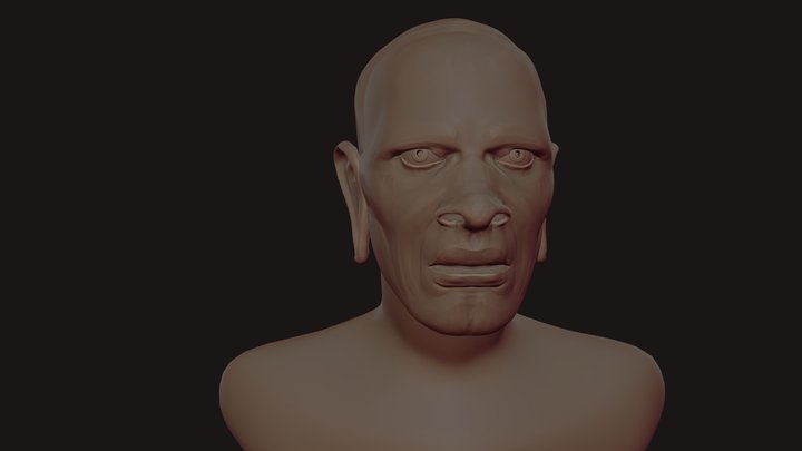 Estudo de Etnia 3D Model