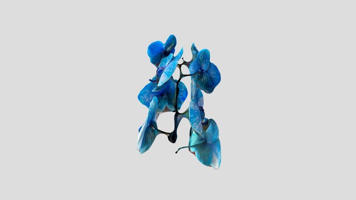 Flower 3D Model