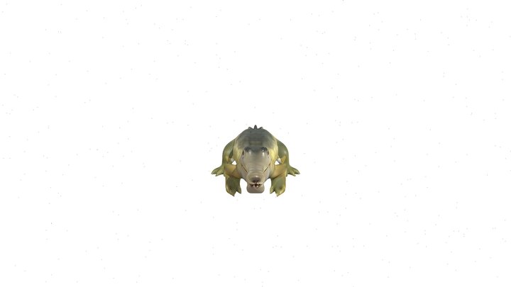 Yacaré overo 2 3D Model
