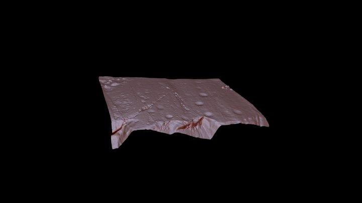 Cupmarks_01 3D Model