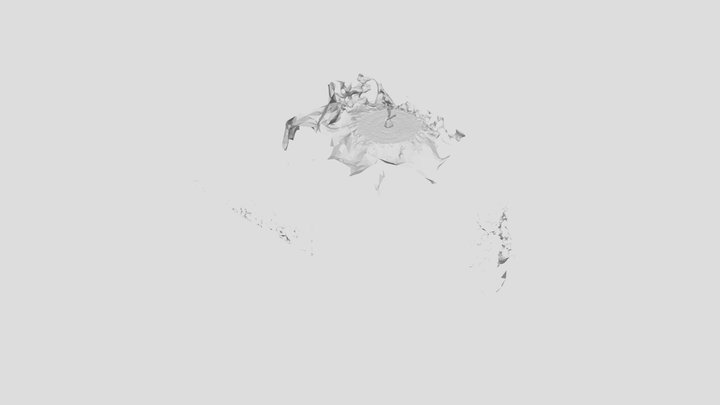 Turtle Composite 0001 3D Model
