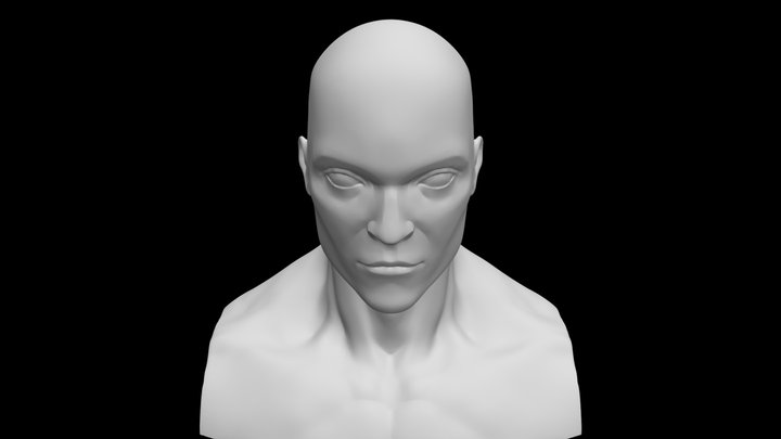 Male Bust00 3D Model