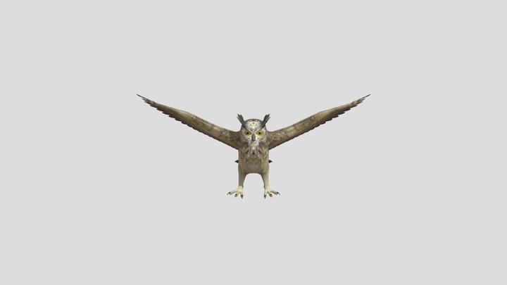 Owl 3D Model