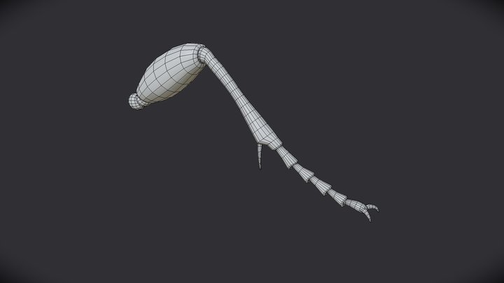 Insect Leg 3D Model