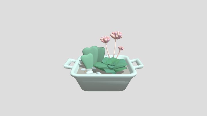 succulent 3D Model