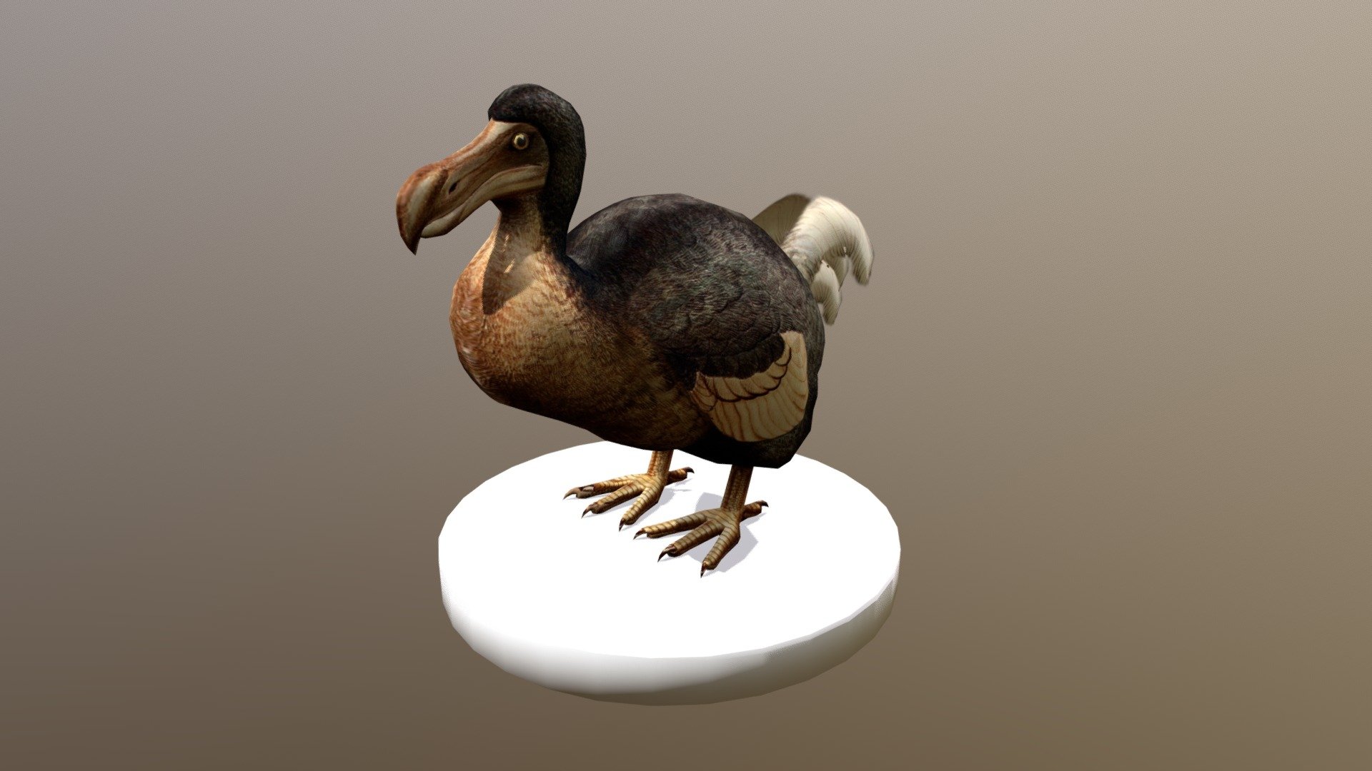 Dodo - Rothschild's Extinct birds (1907)