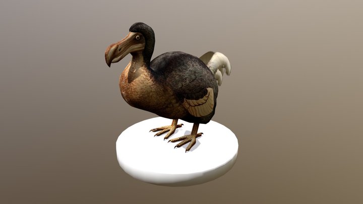 Dodo - Rothschild's Extinct birds (1907) 3D Model
