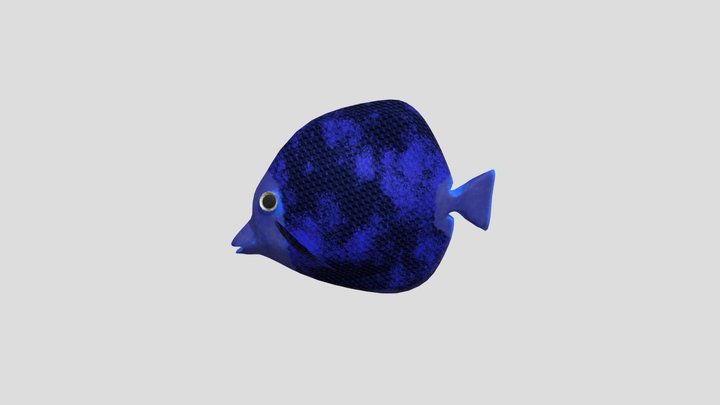 Fish 3D Model