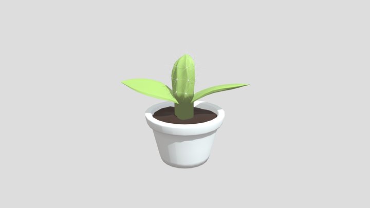 Plant_sprout 3D Model