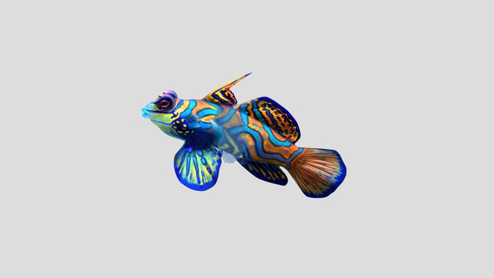 tropicalFish_sf 3D Model
