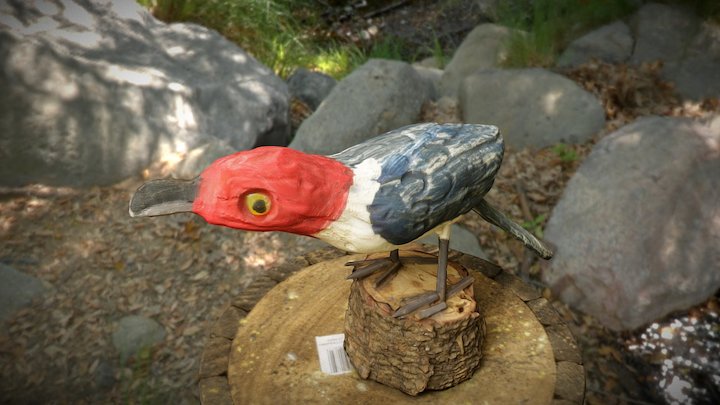 Bird III 3D Model