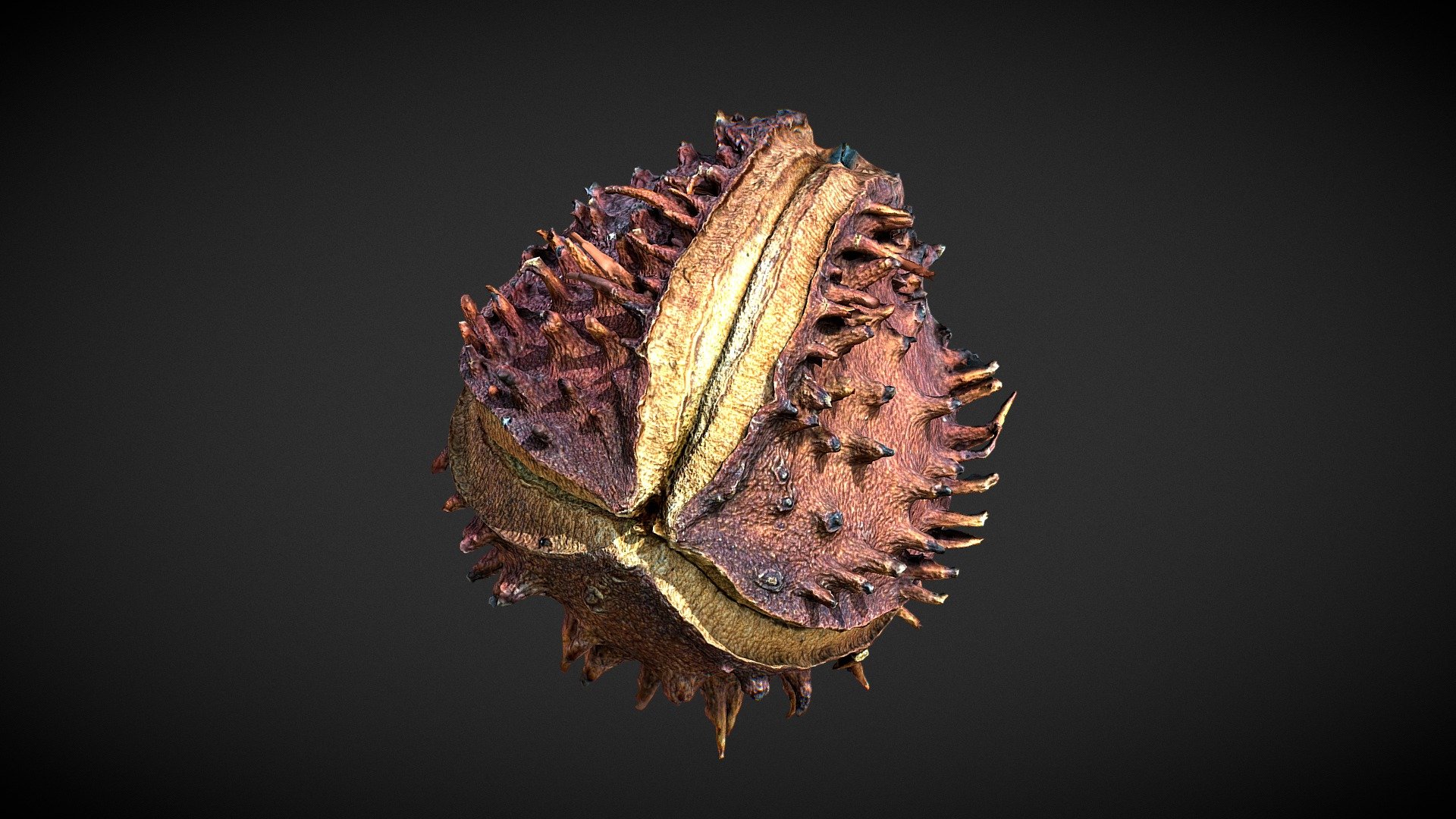 Ground Scatter Seed 07