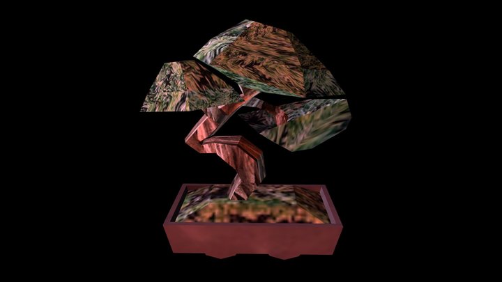 bonsai 3D Model