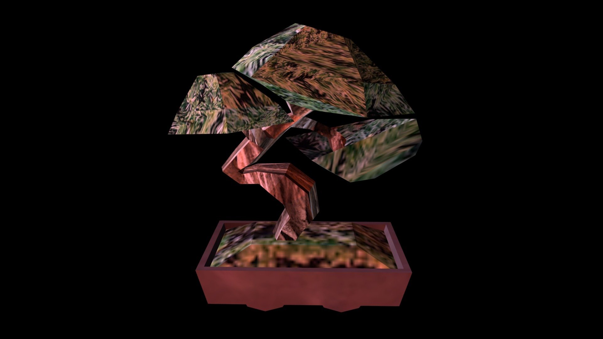 bonsai