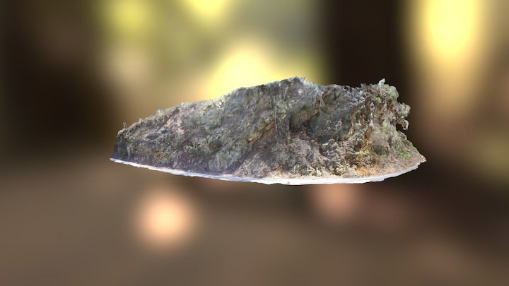 Blount Springs Stop#5 3D Model
