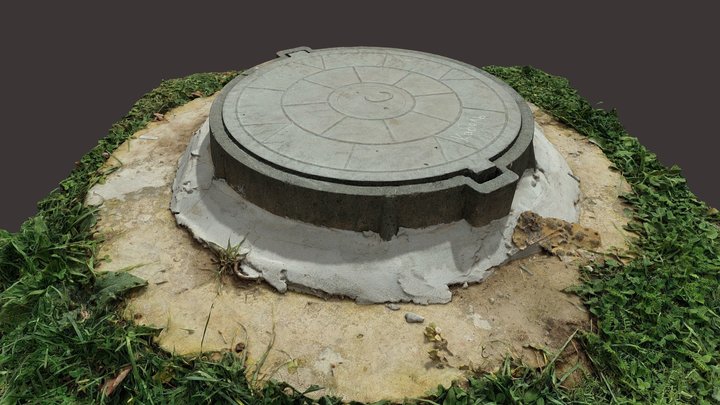 Hatch (3D Scan) 3D Model