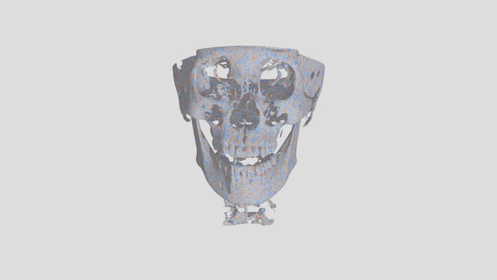 Head SQ Skull 3D Model