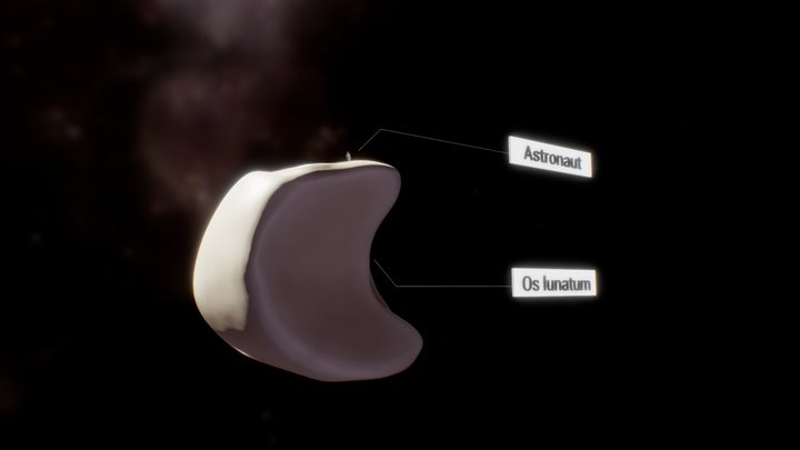 Lunar bone landing 2019 3D Model
