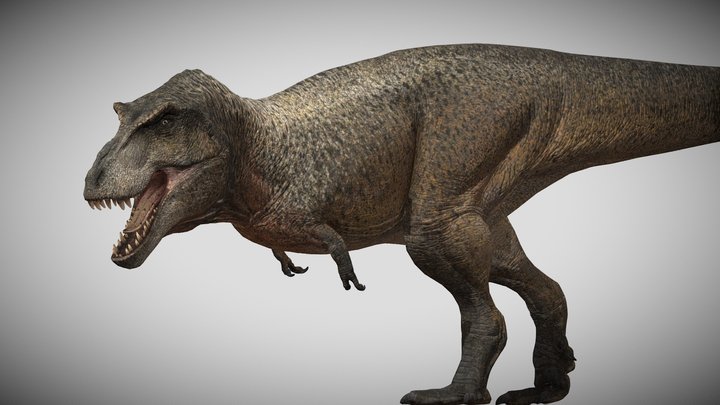 Tyrannosaurus Rex - The Isle – Kostenloses 3D-Modell STL