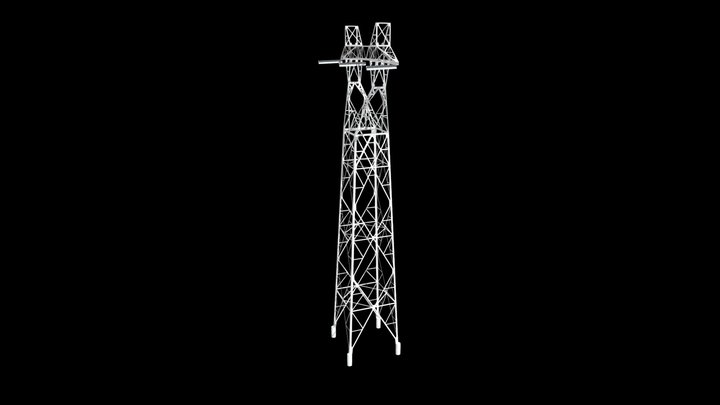 31 3D Model