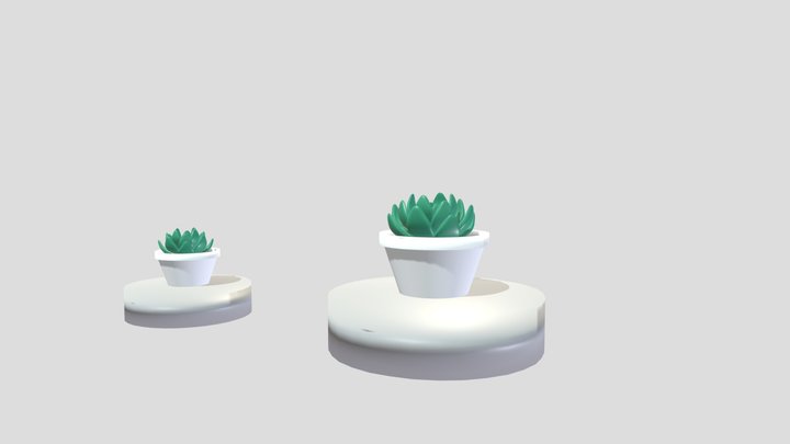 succulent 3D Model
